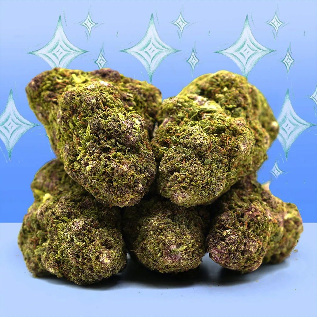 Unsere CBD-Bestseller 🔥.